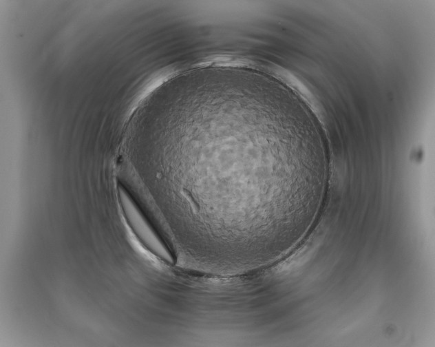 X0000091081433200708131245