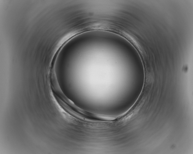 X0000091081434200708131245