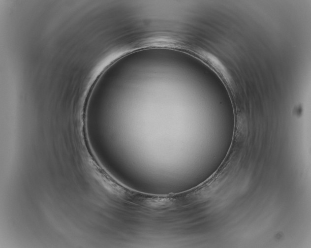 X0000091081435200708131245