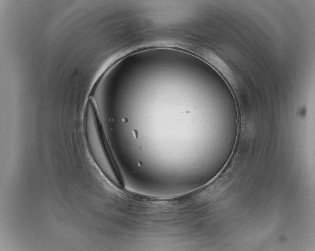 X0000091081436200708131245