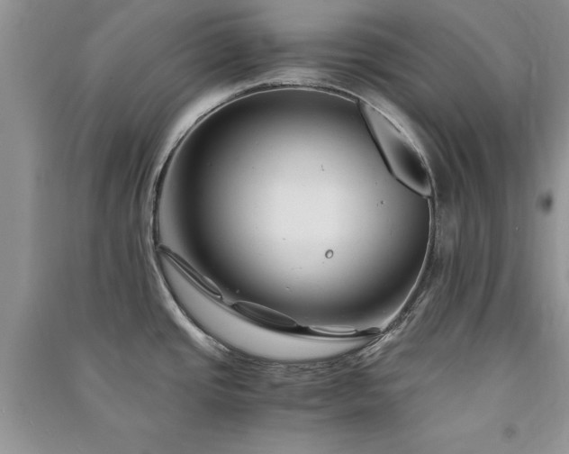 X0000091081437200708131245