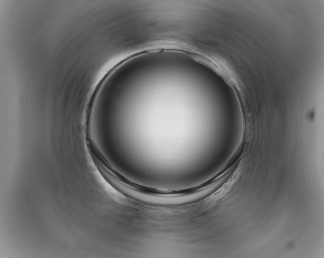 X0000091081438200708131245