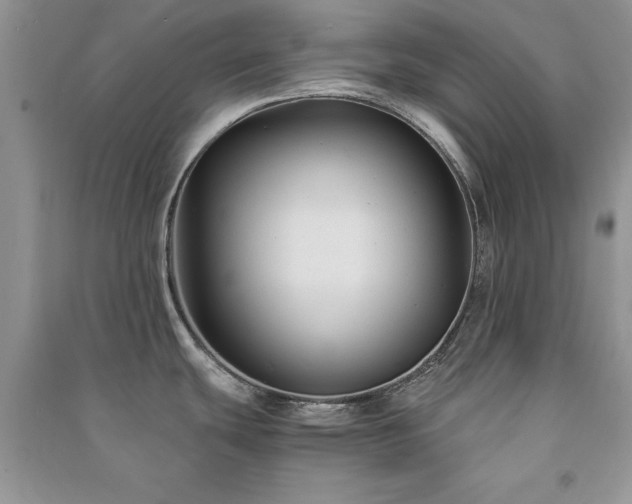 X0000091081439200708131245