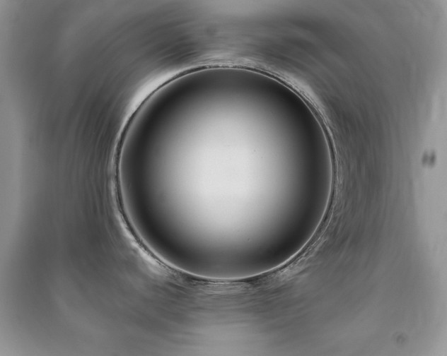 X0000091081440200708131245