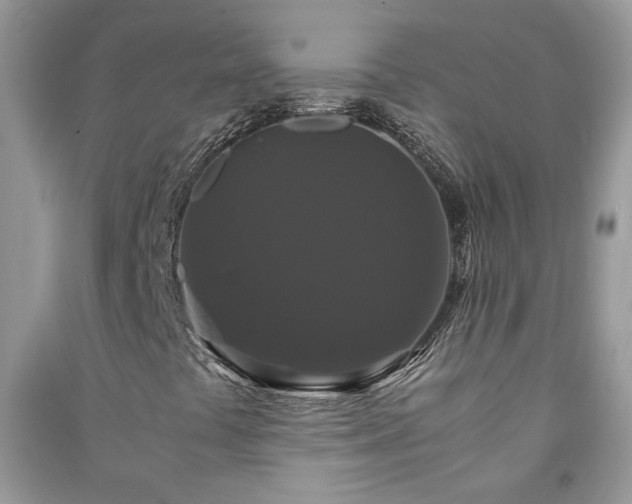 X0000091081441200708131245