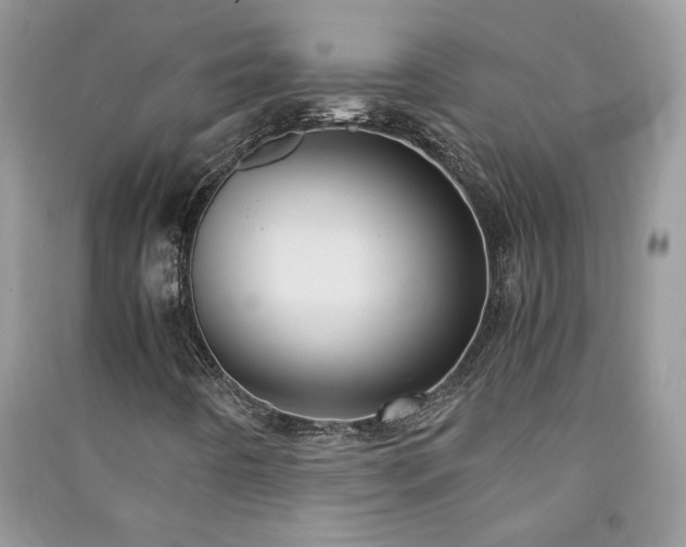 X0000091081442200708131245