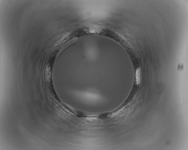 X0000091081443200708131245