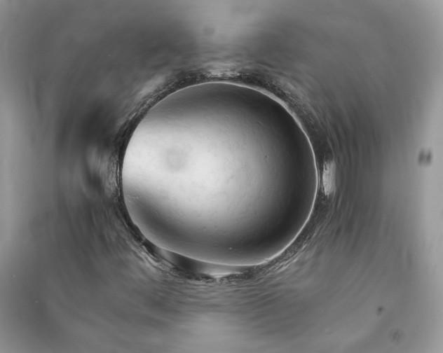 X0000091081444200708131245