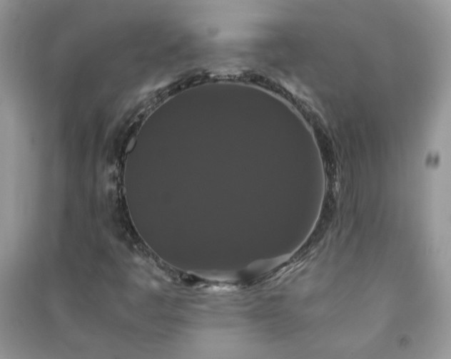 X0000091081445200708131245