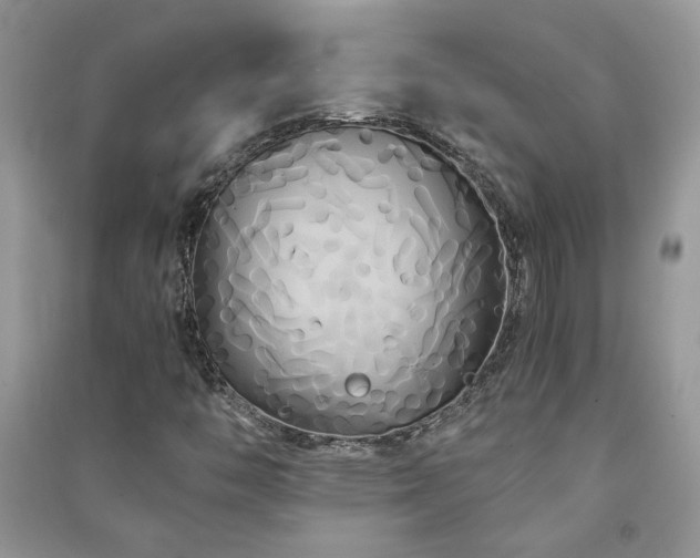 X0000091081446200708131245