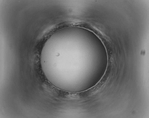 X0000091081447200708131245