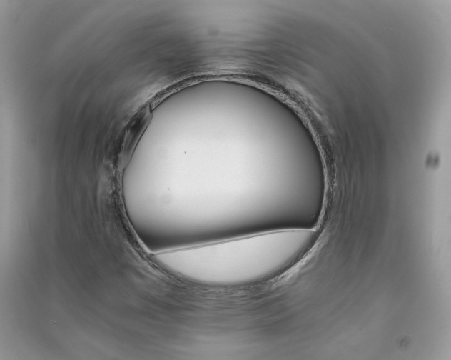 X0000091081449200708131244