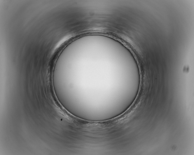 X0000091081450200708131244