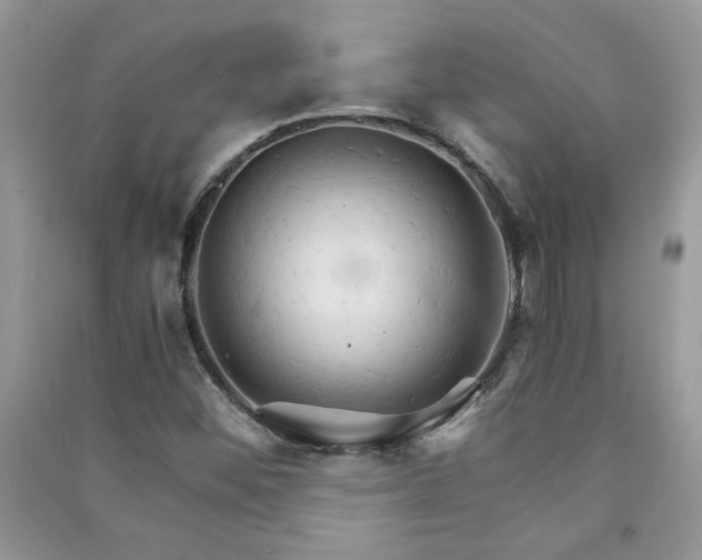 X0000091081452200708131244