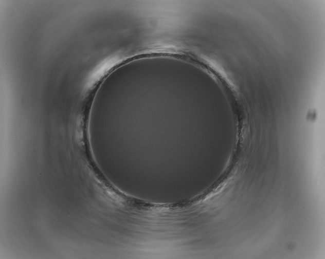 X0000091081455200708131244