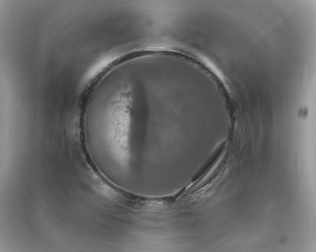 X0000091081456200708131244