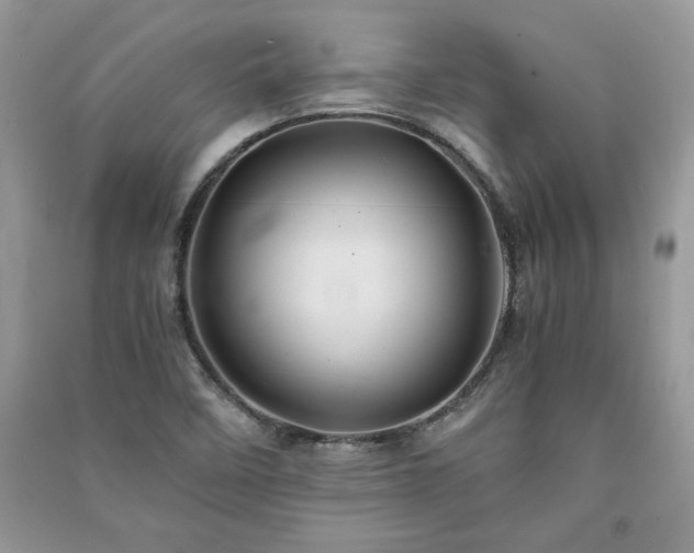 X0000091081458200708131244