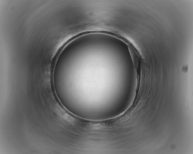 X0000091081460200708131244