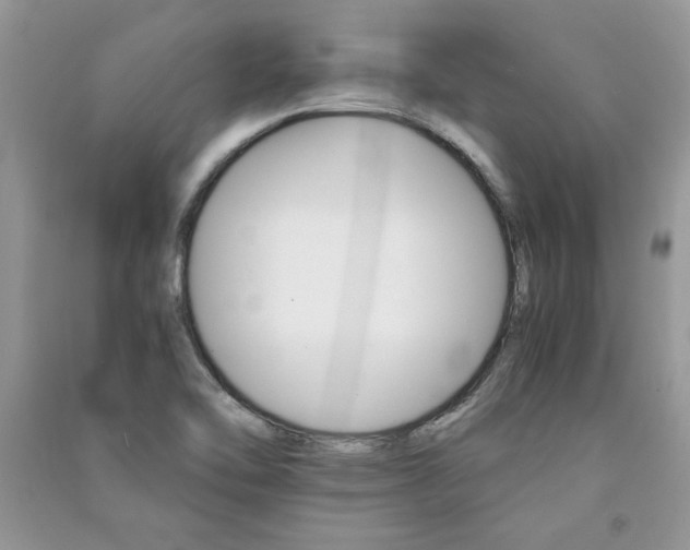 X0000091081462200708131244