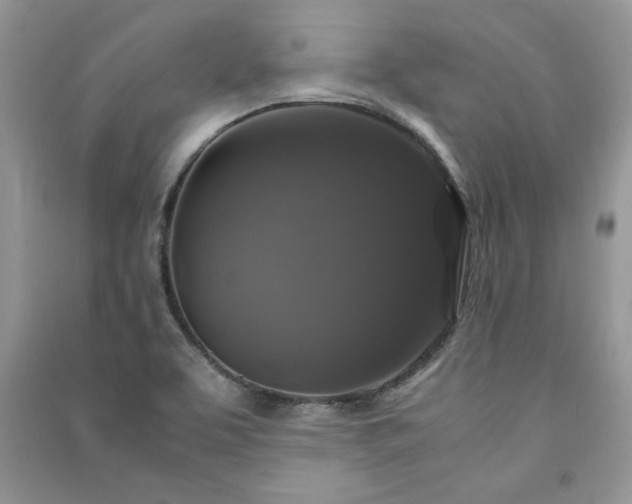 X0000091081463200708131244