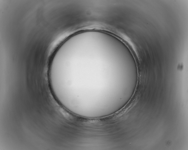 X0000091081464200708131244