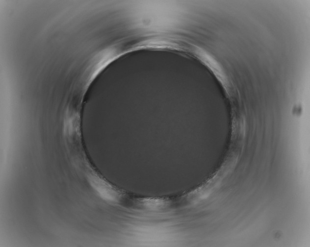 X0000091081465200708131244