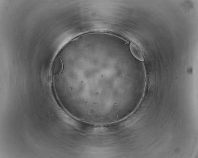 X0000091081467200708131244