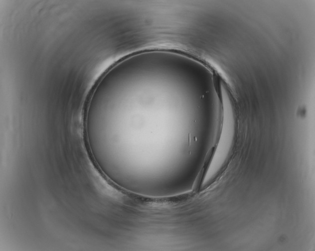 X0000091081468200708131244