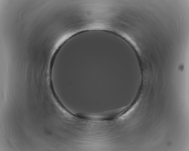 X0000091081469200708131244