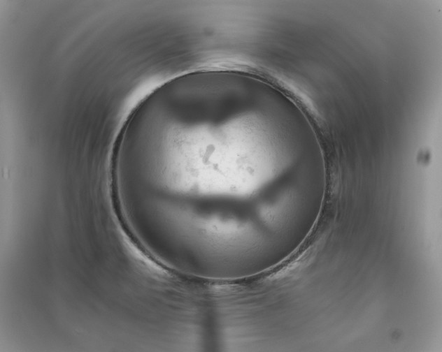 X0000091081471200708131244