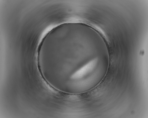 X0000091081472200708131244