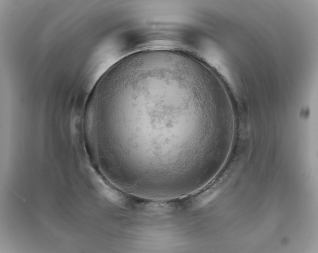 X0000091081473200708131244