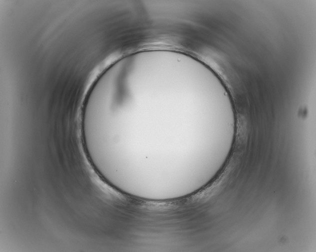 X0000091081474200708131244