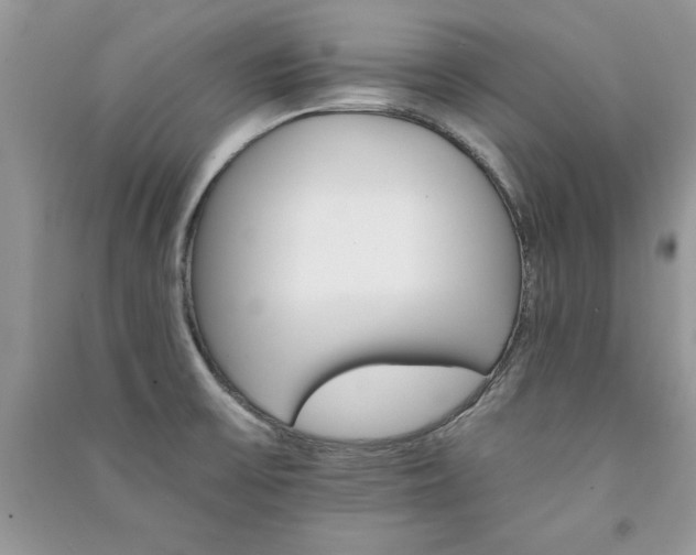 X0000091081475200708131244