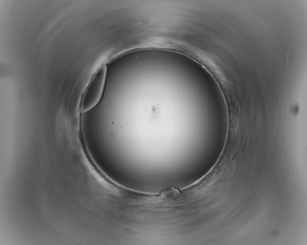 X0000091081479200708131244