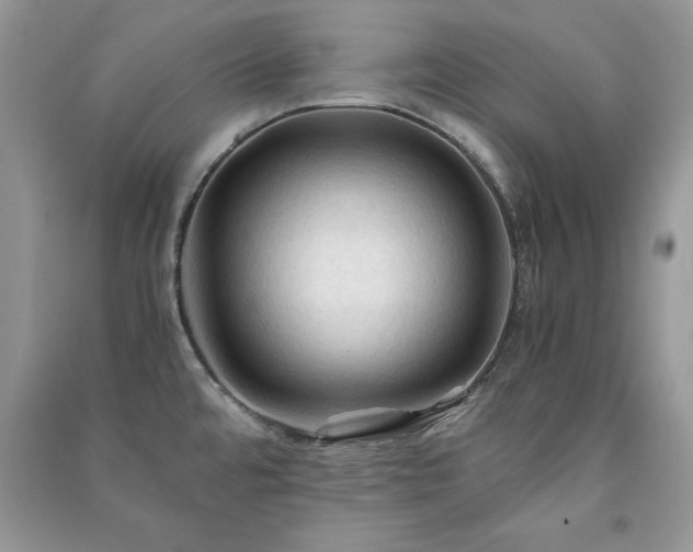 X0000091081480200708131244