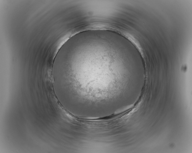 X0000091081481200708131244