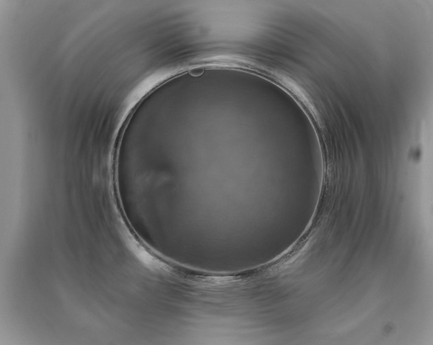 X0000091081482200708131244