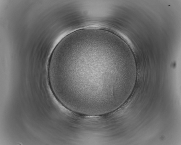 X0000091081483200708131244