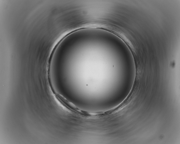 X0000091081484200708131244