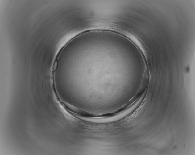 X0000091081485200708131244