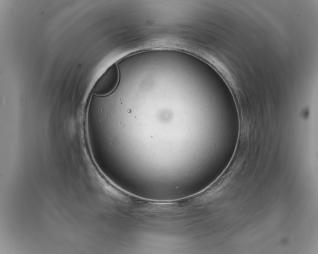 X0000091081486200708131244