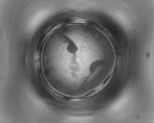 X0000091081487200708131244