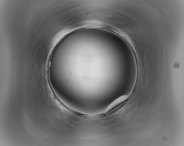 X0000091081488200708131244