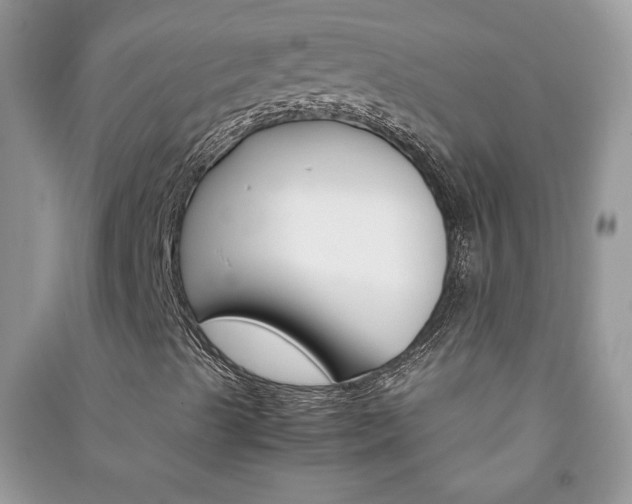 X0000091081489200708131243