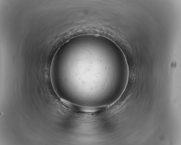 X0000091081490200708131243