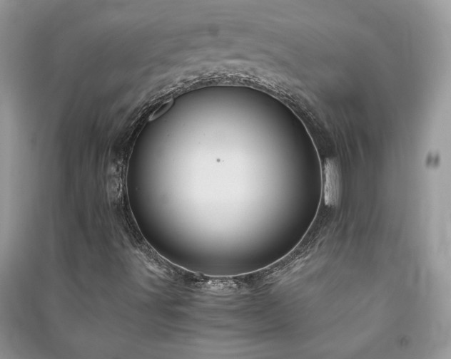 X0000091081491200708131243