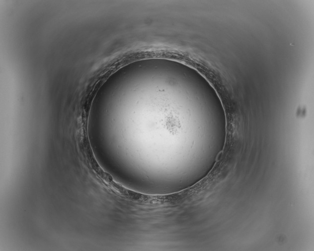 X0000091081493200708131243