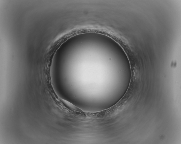 X0000091081494200708131243