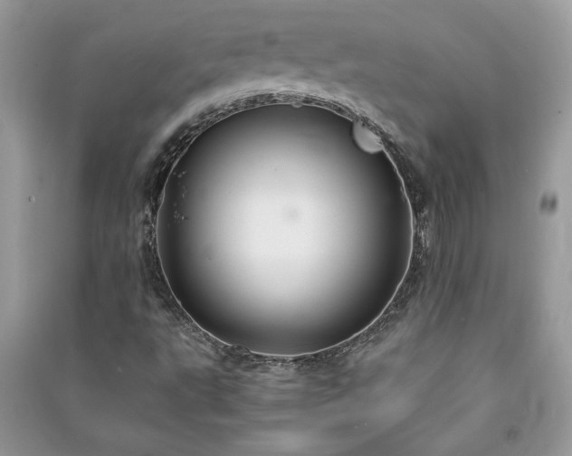 X0000091081495200708131243